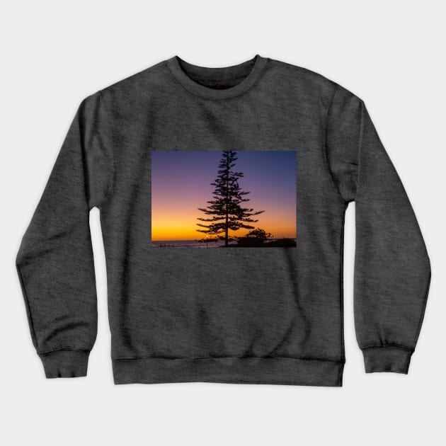 Namibia. Swakopmund. Tree. Sunset. Crewneck Sweatshirt by vadim19